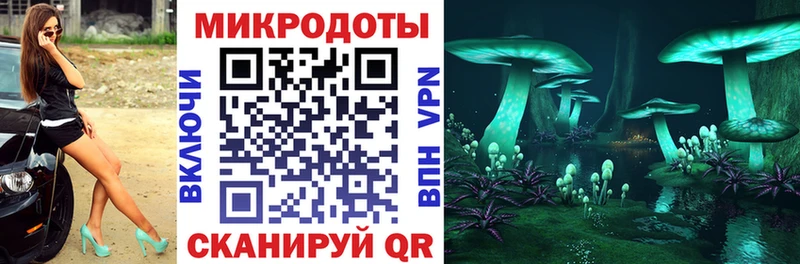 МЕГА ТОР Приволжск Галлюциногенные грибы Cubensis купить наркотик